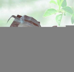 微波炉专用蒸蛋器 家庭厨具的新选择